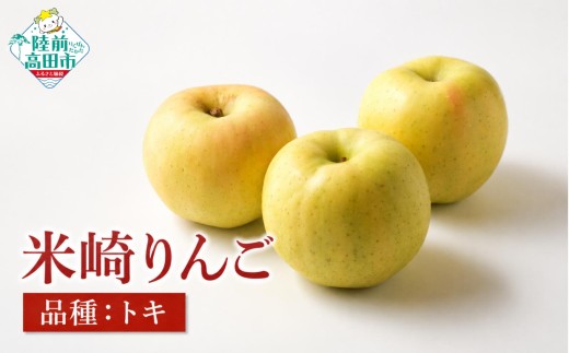 【先行予約】 旬のりんごをお届け！ 米崎りんご 品種：トキ 約5kg 【 数量限定 りんご リンゴ 林檎 産地直送 新鮮 岩手 陸前高田 マルキヨファーム 】 RT3408-5