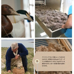 【アイスランド産アイダーダウン】羽毛布団　シングル＜ピンク＞　「舞鳳凰　インド原綿（超長綿）」使用