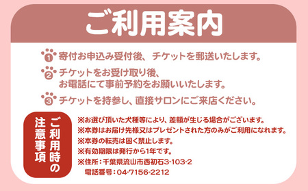 トリミング チケット 4,000円分 犬 ペットサロンチャーミング《30日以内に出荷予定(土日祝除く)》千葉県 流山市 ペット 愛犬 ワンちゃん お手入れ 健康 体験