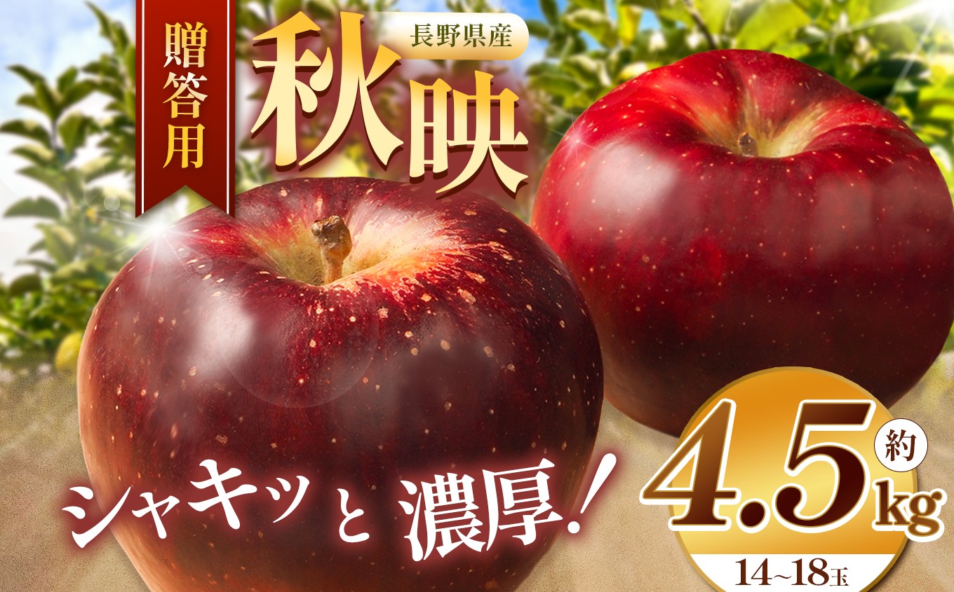 
                  りんご あきばえ 信州 上伊那産 贈答用 秋映 約4.5kg （14～18玉） | 果物 フルーツ りんご 林檎  贈答 秋映 上伊那産 長野県 伊那市 【012-83】
                