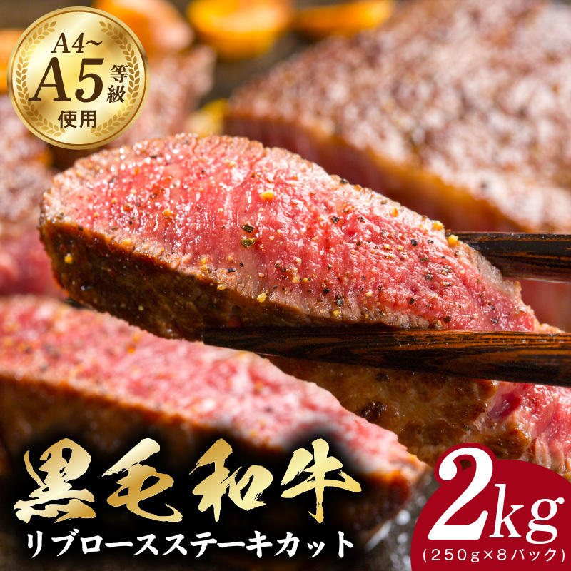 A5/A4ランク 黒毛和牛 リブロースステーキカット 合計2kg（250g×8P）【極味付け肉】 CFX0065
