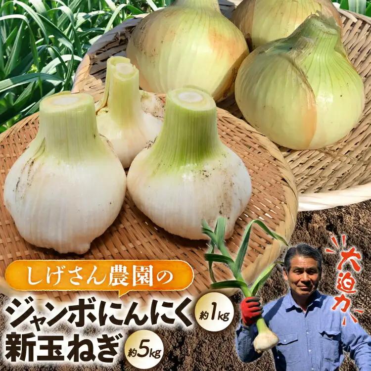 野菜 にんにく 玉ねぎ セット ジャンボにんにく 約1kg 新玉葱 約5kg 詰め合わせ 【期間限定発送】 [しげさん農園 長崎県 平戸市 hr42bgy420132]