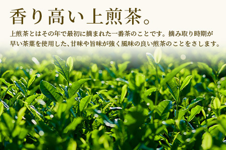 【ギフトにおすすめ】 佐賀県産 上煎茶 うれしの茶 100g×3本【合計300g】美味しいお茶を贈り物に 煎茶 緑茶 上煎茶 B-666