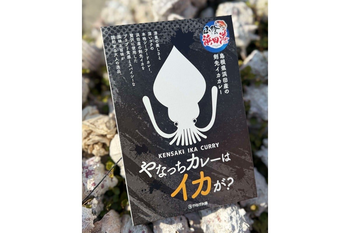 
            【チョイス限定】やなっちカレーはイカが？ 200g×3箱 レトルト カレー レトルトカレー カレーライス いか 剣先イカ シーフード 魚介 贈答 ギフト 常温 簡単 時短 島根県産 【006_2055】
          