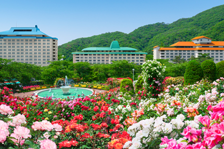 【2本セット】花巻温泉バラ園で育った「クリスマスローズ」苗<2026年2月上旬より順次発送> 【2167】