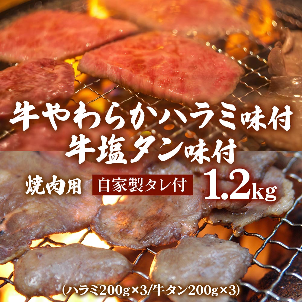 牛やわらかハラミ味付600g(200g×3パック)＆牛塩タン味付600g(200g×3パック) 焼肉用自家製タレ付 [0991]_イメージ1