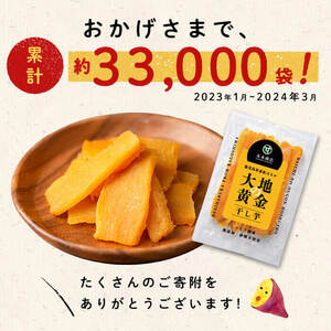 大地の黄金干し芋 計2kg(100g×20袋) さつまいも さつま芋 ほしいも 干しいも 紅はるか 国産 九州産 鹿児島県産 小分け スイーツ 干し芋 人気 常温 常温保存 b0-177