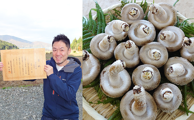 おーい菌床しいたけ2.5kg 野菜 きのこ 茸 キノコ シイタケ 椎