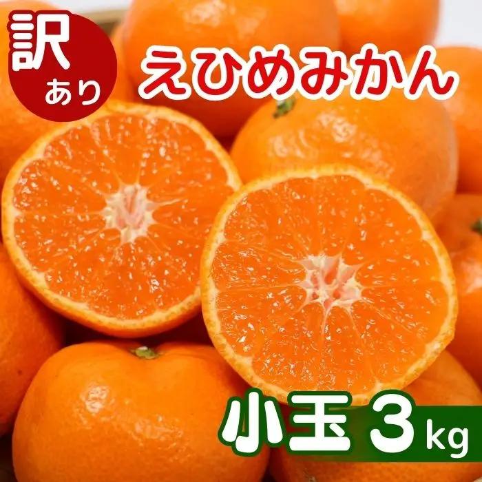 【先行予約】訳あり 愛媛みかん 小玉 3kg 傷み補償 250g 清家ばんかんビレッジ
