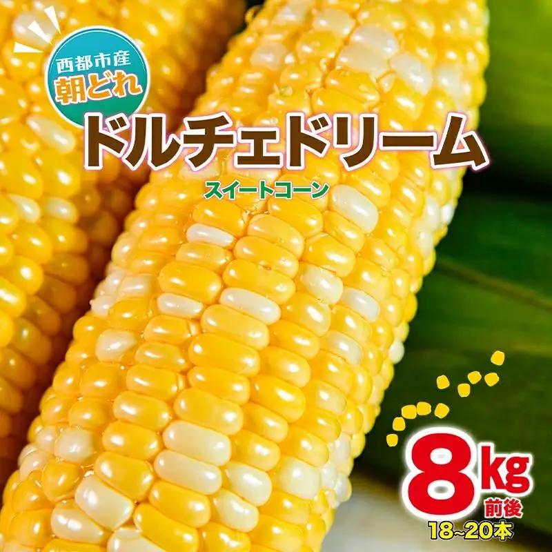【先行予約】初夏の味覚！鮮度が命 村田さん家の朝どれスイートコーン『ドルチェドリーム』生産者直送2027年発送＜63-2a＞