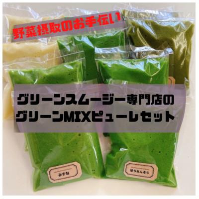ふるさと納税 富山市 【富山県産】グリーンスムージー専門店のグリーンMIXピューレ
