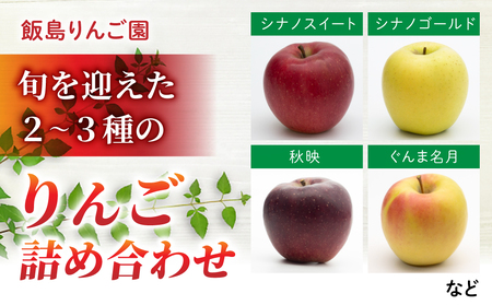【飯島りんご園】旬の色々りんごの詰め合わせセット　3kg（2～3種）※10月中旬～順次発送