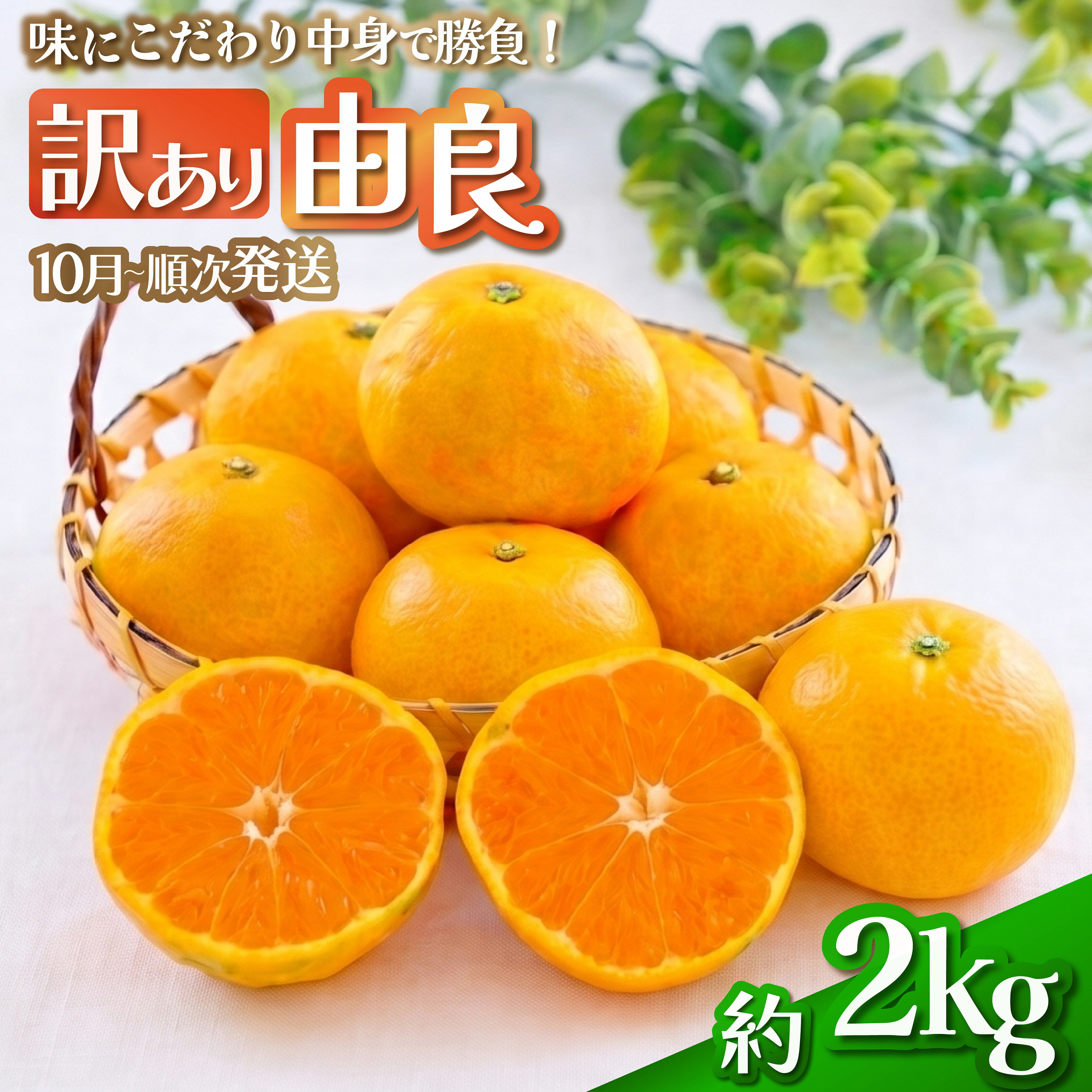【ふるさと納税】 訳あり 由良 みかん 約2kg 果物 フルーツ 西浦 蜜柑 柑橘 オレンジ 国産 ミカン 特産品 旬 季節 冬 ギフト 家庭用 訳あり品 直送 産地直送 訳アリ 沼津市 静岡県