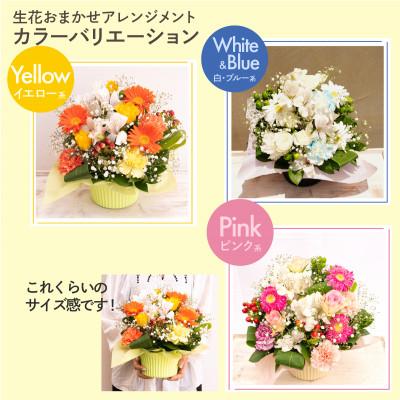 ふるさと納税 佐倉市 生花お任せアレンジメントM イエロー系 お祝いやお誕生日におすすめ |  | 02