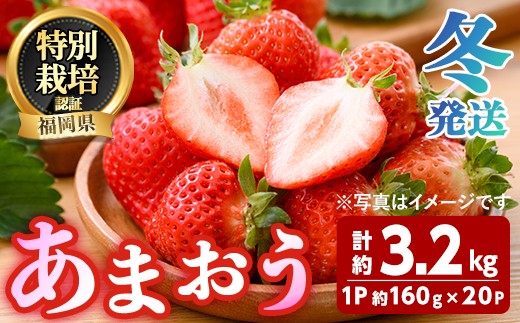 ＜先行予約受付中！2026年12月～2027年2月発送予定＞ うるう農園の あまおう MLサイズ (計約3.2kg・約160g×20P) 苺 いちご イチゴ 果物 フルーツ 国産 福岡県 ヨーグルト ジャム スムージー 冷蔵 冬発送 特別栽培 ＜離島配送不可＞【ksg1958】【うるう農園】