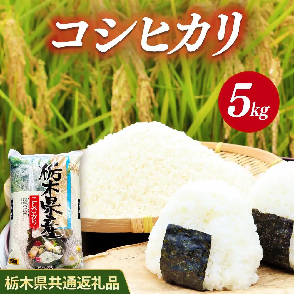 米 コシヒカリ 5kg 栃木県産【栃木県共通返礼品】