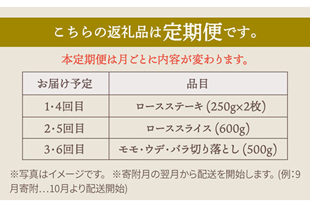 【肉のプロが厳選！】【全6回】佐賀県産和牛 贅沢定期便【株式会社いろは精肉店】 [IAG069]