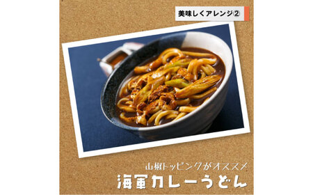 よこすか海軍カレー ネイビーブルーカレーフレーク 125g×53袋 カレー 海上自衛隊カレー 海軍 海軍カレー 軍艦 横須賀 自衛隊 神奈川 レトルト 非常食 保存食  【横須賀商工会議所 おもてなし