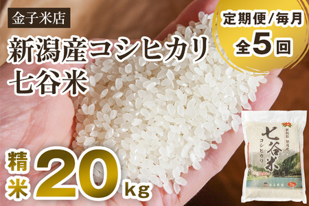 【令和7年産】【定期便5ヶ月毎月お届け】老舗米穀店が厳選 新潟県加茂市産コシヒカリ「七谷米」精米20kg（5kg×4）〈順次出荷〉 従来品種 金子米店