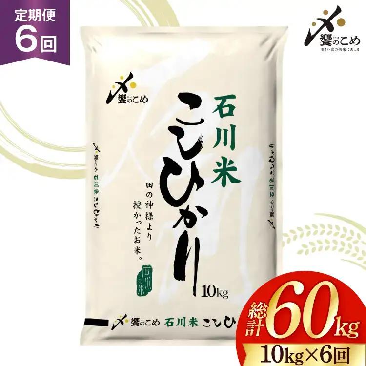 【定期便 6回】 石川米 こしひかり 米 10kg