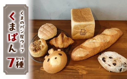 くまぱんセット　～くまぱんのおすすめパン～　パン くまぱん  くまパン クロワッサン メロンパン クルミ カシューナッツ レーズン バゲット 角食パン くまのパン屋ウーフ おすすめ 防災 備蓄 奈良県
