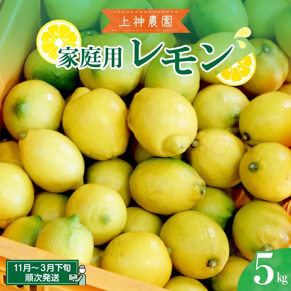 先行受付 2026年11月～発送 家庭用 広島産 レモン 約5kg 