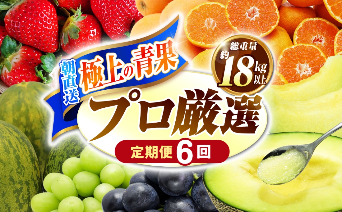 【年6回 奇数月コース】果物屋が選ぶ旬のフルーツ定期便 いちご メロン ハウスみかん 梨 柿 など / 南島原市 / 贅沢宝庫 [SDZ021]