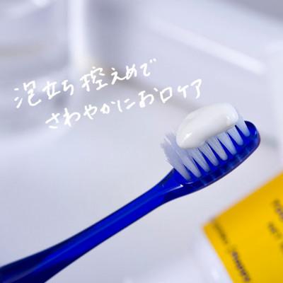 ふるさと納税 内子町 うちこコスメ ロブラング歯磨き粉1個+歯ブラシ1本セット |  | 03