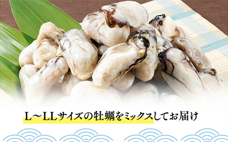 急速冷凍！ 国産牡蠣1.5kg（500g×3袋）冷凍 加熱用 殻なし 牡蠣フライ・鍋に◎ 国産 牡蠣 海鮮 急速凍結 鍋 の季節に もつ鍋 水炊き 寄せ鍋 にも合う 小分け カキフライ 牡蠣フライ グ