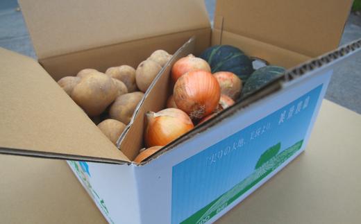 
            【先行予約】<令和7年産 >美景農園 秋の野菜セット[014-79]
          
