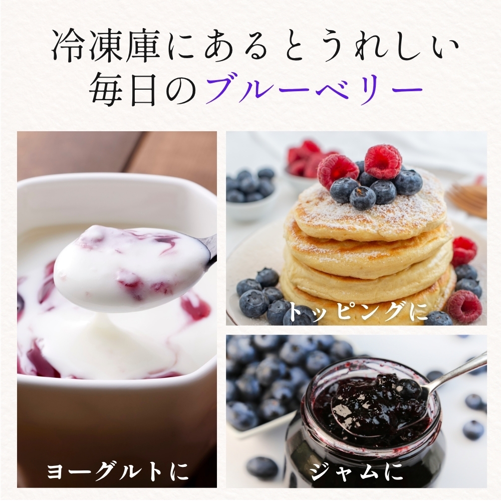 有機JAS〈無農薬〉ブルーベリー500g 冷凍 オーガニック フルーツ 果物 国産 兵庫県丹波篠山市 ベリー類 デザート