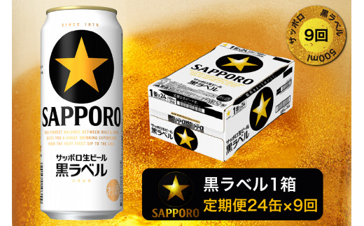 
T0024-2109　【定期便9回】黒ラベルビール 500ml×1箱(24缶)【定期便】
