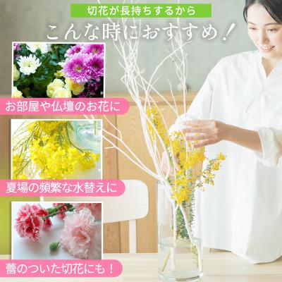 ふるさと納税 静岡市 切花栄養剤キープ・フラワー 500ml&ミニパックセット |  | 03