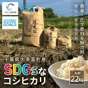 【ふるさと納税】W03402 【新米】令和6年産 「SDGsなコシヒカリ」玄米22kg / 米 こめ コメ 玄米 こしひかり コシヒカリ 籠米 バスケットボール esDGs OTAKI.EXE SDGs 大多喜町 千葉県