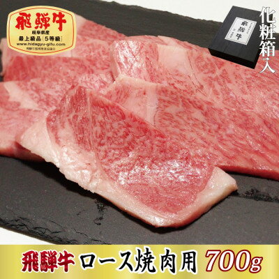 【ふるさと納税】【化粧箱入り・最高級A5等級】飛騨牛ロース焼肉用700g(牛脂付き)【配送不可地域：離島】【1488416】