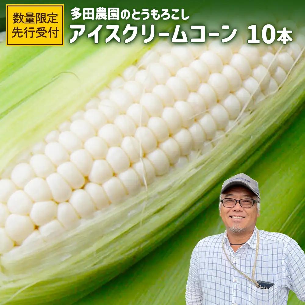 【とうもろこし数量限定先行受付！】多田農園のとうもろこし　アイスクリームコーン10本【5100601】