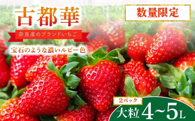 
            【数量限定 予約販売】 ブランド いちご 古都華 2P 宝石のような濃いルビー色 苺 イチゴ 大粒 4L～5L 2026年 1月 以降順次発送 1月 2月 3月 旬 産地 農場 直送 フレッシュ スイーツ スムージー ケーキ フルーツ 果物 国産 ベリー 贈答用 プレゼント 人気 ふるさと納税 ふるさと おすすめ 限定 奈良県 奈良市 なら 古都華カンパニー HJ-05
          