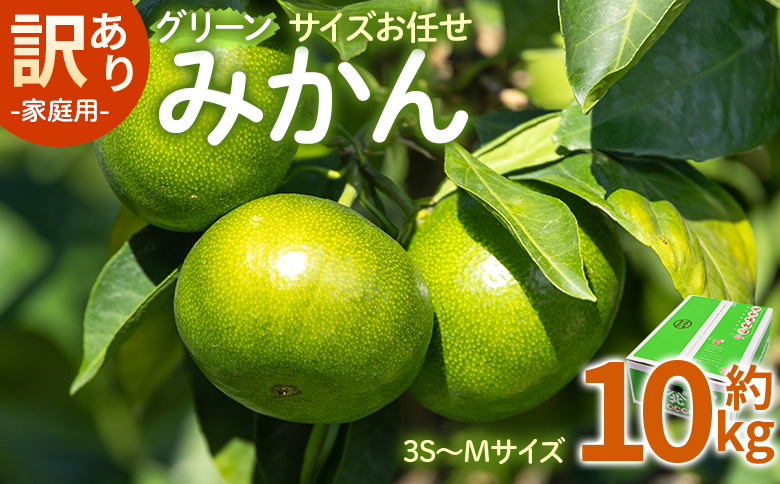 訳あり(家庭用) サイズお任せ グリーンみかん 10㎏ 3S～Mサイズ be-0100