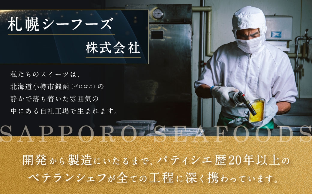 【5回定期便】 北海道ミニフロマージュ （プレーン） 約900g×5回 合計約4.5kg