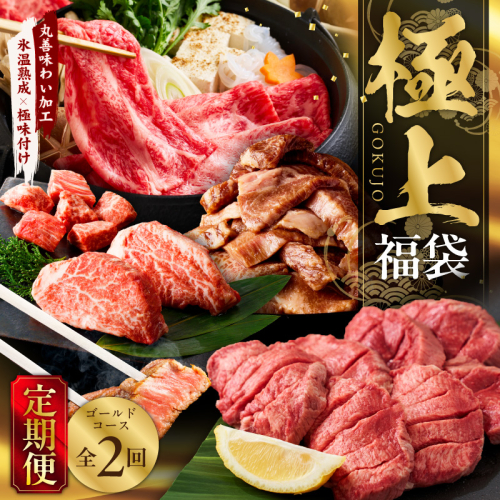 極上福袋 定期便 ゴールドコース 全2回【5種 食べ比べ 牛肉 ステーキ 牛タン 焼肉 しゃぶしゃぶ すき焼き 氷温熟成×極味付け 毎月配送コース】 mrzZ029