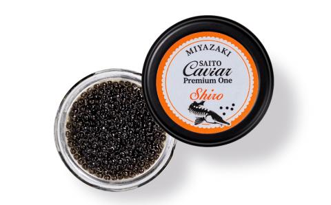西都キャビア プレミアムワン シロ 20ｇ『SAITO CAVIAR PREMIUM ONE SHIRO』 国産 《西都市オリジナル》 熟成キャビア＜5.5-7＞魚介類 魚卵 高級品 ギフト 宮崎県西