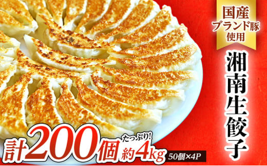 餃子 湘南ぎょうざ 20ｇ×200個入 大容量 国産ブランド豚 焼き餃子 冷凍 神奈川 藤沢市 餃子 ぎょうざ 冷凍餃子  餃子 ぎょうざ 冷凍餃子 ぎょうざ 冷凍 餃子 餃子 ぎょうざ 冷凍餃子 餃