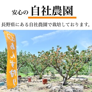 昔ながらの天日干しあんず(3袋セット) ｜ あんず