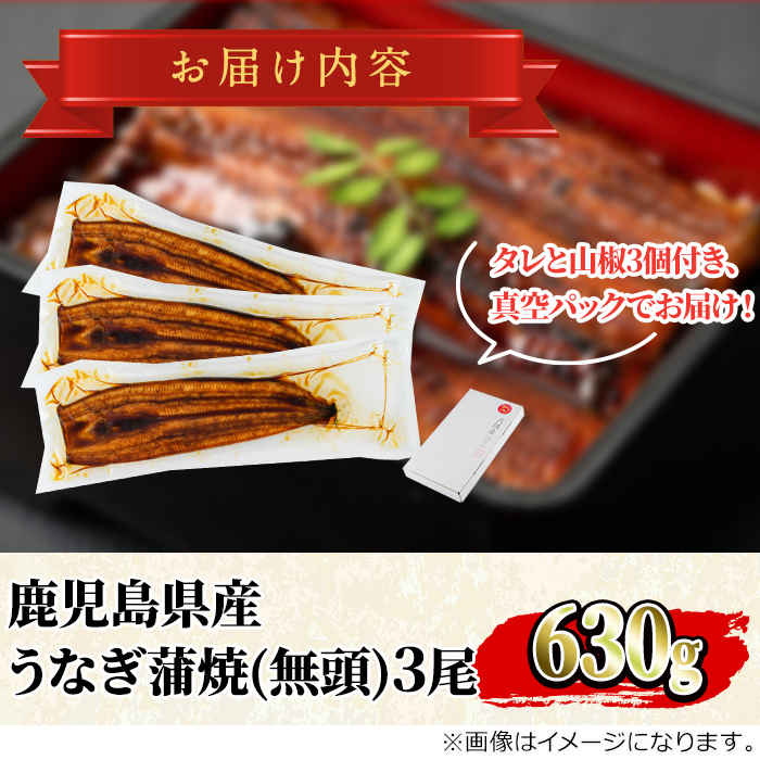 東串良町のうなぎ蒲焼(無頭)(3尾・計約630g・タレ、山椒付)【アクアおおすみ】