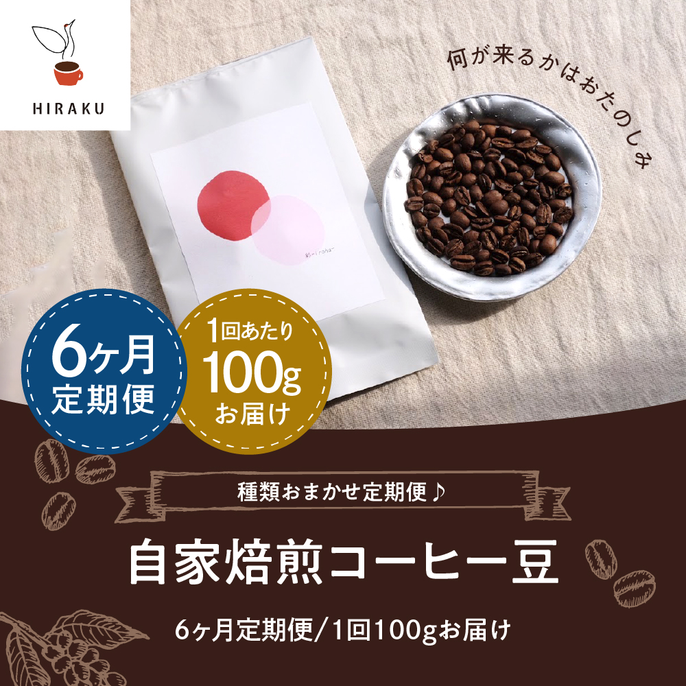 【6ヵ月定期便】自家焙煎コーヒー豆 100g×6ヵ月 種類おまかせ ch029-009