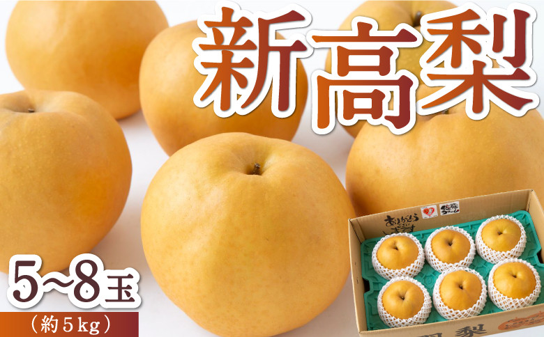
            【先行予約】 佐藤ファーム 新高梨 5玉から8玉 （約5kg） 【2025年9月下旬から10月上旬 出荷予定】 梨 なし ナシ 新高 にいたか 大玉 果物 くだもの フルーツ 果実 ジューシー お取り寄せ 福岡県 うきは市
          