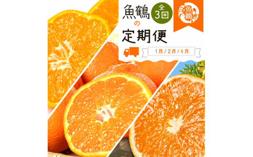 【全3回】紀州和歌山産旬の柑橘定期便(みかん・不知火・清見オレンジ) / みかん フルーツ 果物 オレンジ 柑橘 和歌山 フルーツ定期便 オレンジ 柑橘定期便 有田みかん【tkb384】