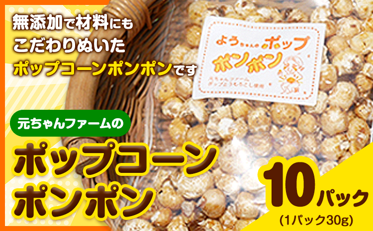 ポップコーンポンポン元ちゃんファーム《30日以内に出荷予定(土日祝除く)》トウモロコシ菓子ポップコーン---wsk_gncpcpp_30d_22_14000_300g---