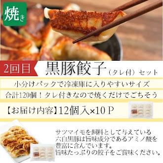 【D90001】 ＜定期便・全3回＞肝付町セレクト定期便《簡単調理で肉を楽しむ定期便》_イメージ4