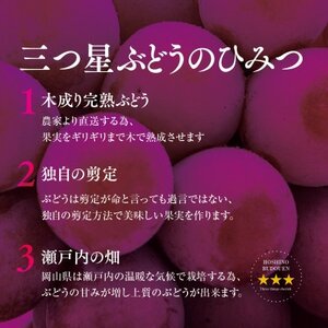 【特級】星乃クインニーナ 数量限定 1房(700g)【配送不可地域：離島】【1601598】